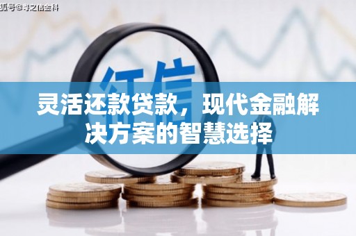 三山灵活还款贷款，现代金融解决方案的智慧选择