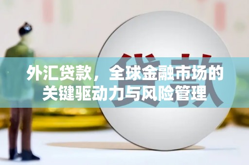 惠水外汇贷款，全球金融市场的关键驱动力与风险管理