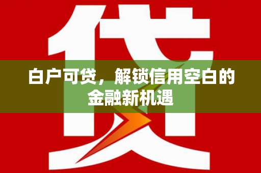 蚌埠白户可贷，解锁信用空白的金融新机遇
