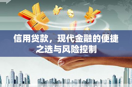 斗六信用贷款，现代金融的便捷之选与风险控制