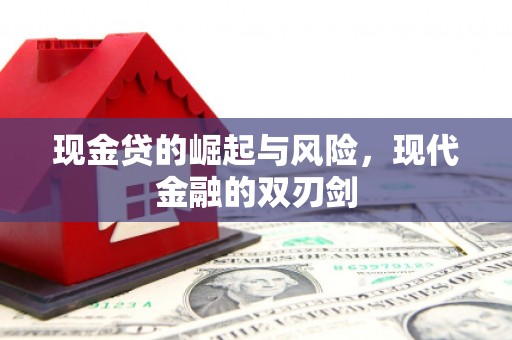 仁和现金贷的崛起与风险，现代金融的双刃剑