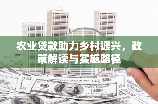 仁和农业贷款助力乡村振兴，政策解读与实施路径