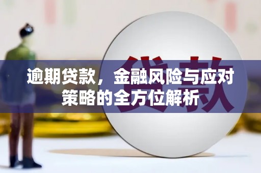 仁和逾期贷款，金融风险与应对策略的全方位解析
