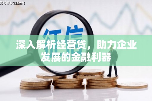 颍州深入解析经营贷，助力企业发展的金融利器