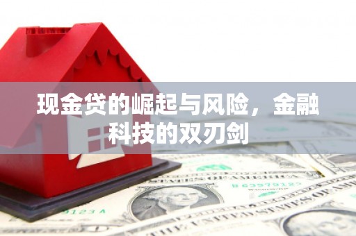 颍州现金贷的崛起与风险，金融科技的双刃剑