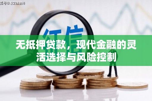 颍州无抵押贷款，现代金融的灵活选择与风险控制