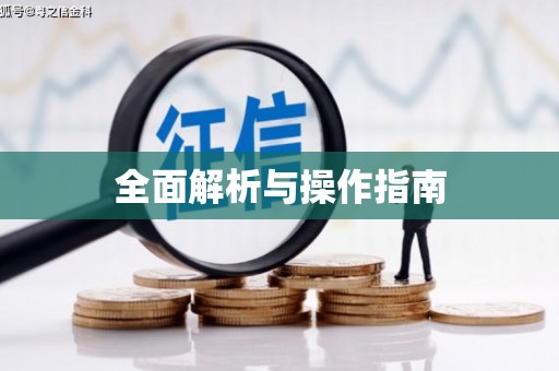 资溪全面解析与操作指南