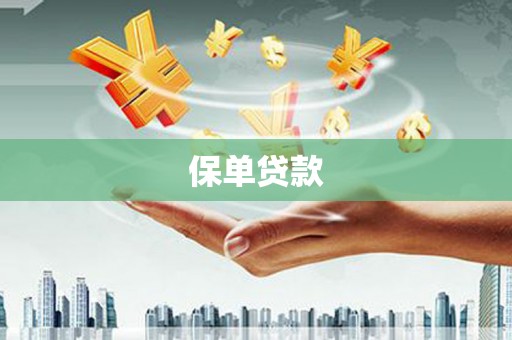 云霄保单贷款
