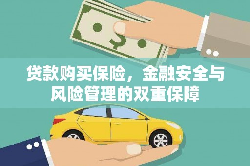 汉阳贷款购买保险，金融安全与风险管理的双重保障