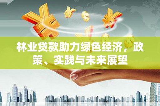 丹寨林业贷款助力绿色经济，政策、实践与未来展望
