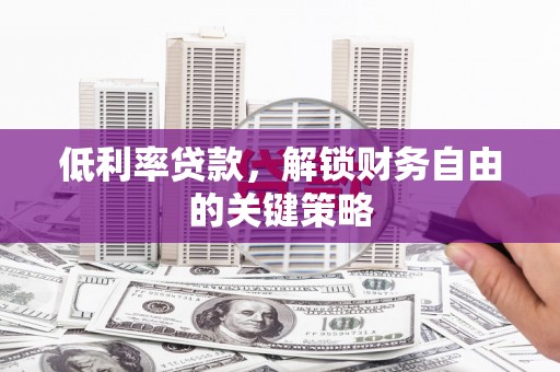 丹寨低利率贷款，解锁财务自由的关键策略