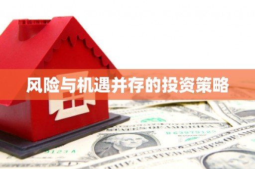 江阴风险与机遇并存的投资策略