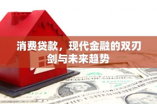 伊川消费贷款，现代金融的双刃剑与未来趋势