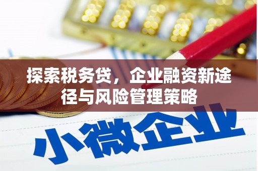 屏山探索税务贷，企业融资新途径与风险管理策略
