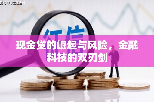 德昌现金贷的崛起与风险，金融科技的双刃剑