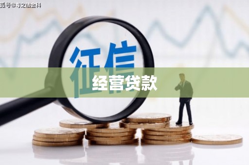 胶州经营贷款