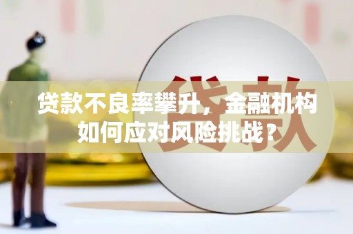 漾濞贷款不良率攀升，金融机构如何应对风险挑战？