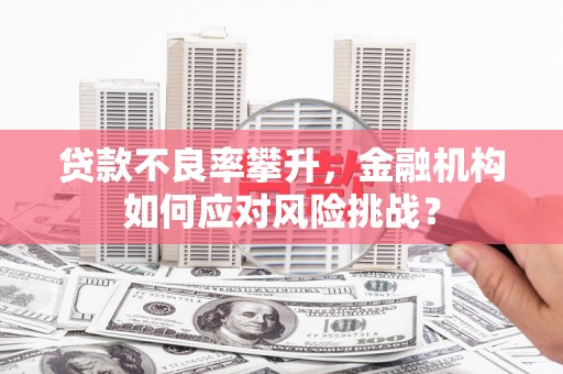 沧州贷款不良率攀升，金融机构如何应对风险挑战？