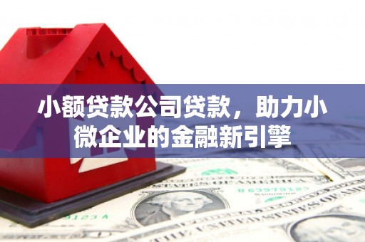 漾濞小额贷款公司贷款，助力小微企业的金融新引擎