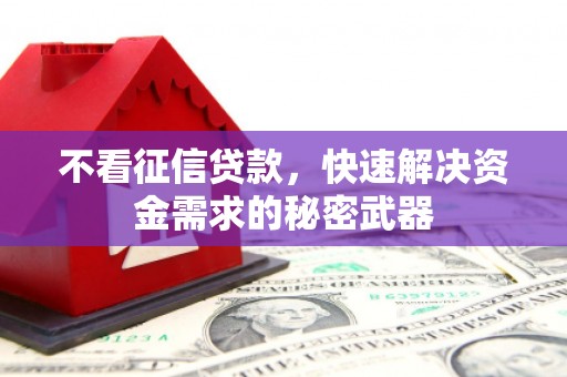 卢氏不看征信贷款，快速解决资金需求的秘密武器