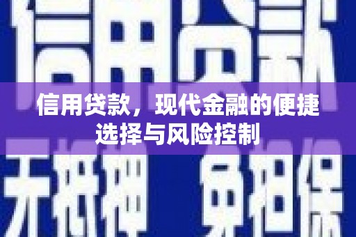 宁陵信用贷款，现代金融的便捷选择与风险控制