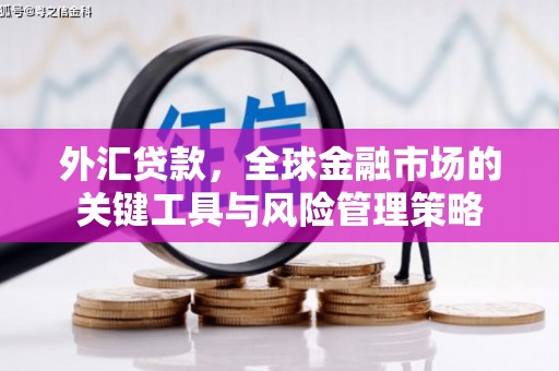 鱼池外汇贷款，全球金融市场的关键工具与风险管理策略