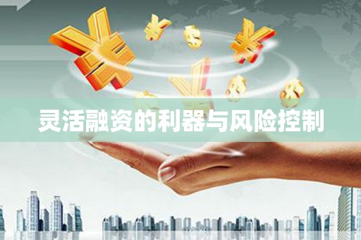 南川灵活融资的利器与风险控制