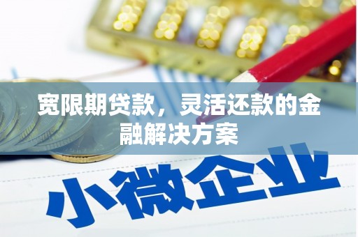 宁明宽限期贷款，灵活还款的金融解决方案