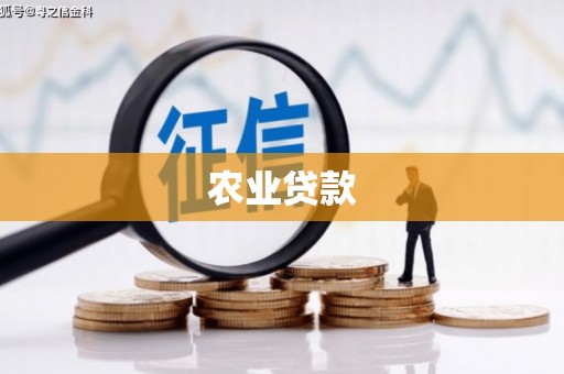 沧州农业贷款