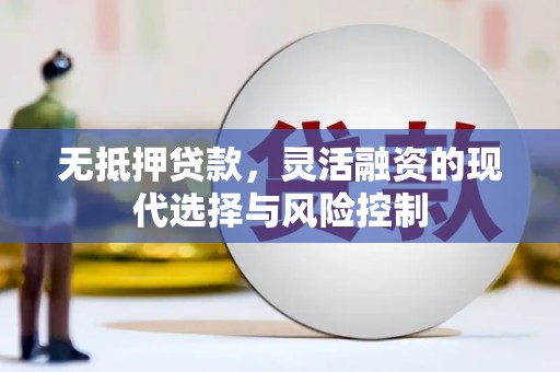 滨州无抵押贷款，灵活融资的现代选择与风险控制