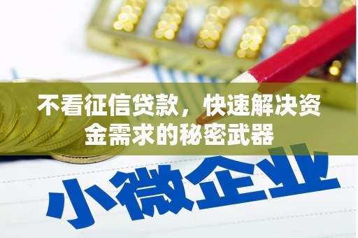 澎湖不看征信贷款，快速解决资金需求的秘密武器