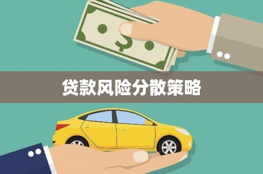 九龙贷款风险分散策略