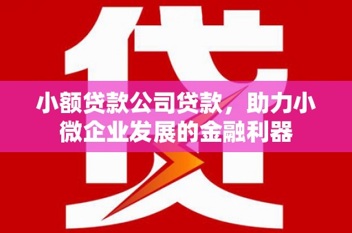 楠西小额贷款公司贷款，助力小微企业发展的金融利器