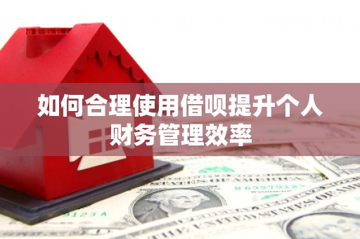 新野如何合理使用借呗提升个人财务管理效率
