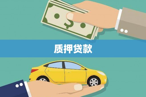 龙潭质押贷款