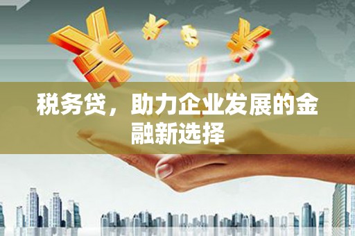 卢氏税务贷，助力企业发展的金融新选择