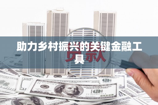 盐水助力乡村振兴的关键金融工具
