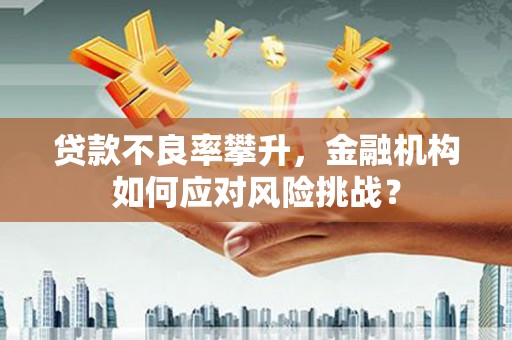 龙潭贷款不良率攀升，金融机构如何应对风险挑战？