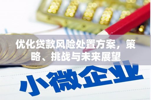 剑川优化贷款风险处置方案，策略、挑战与未来展望