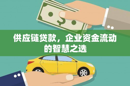 徐闻供应链贷款，企业资金流动的智慧之选