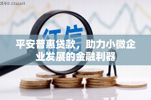 凤冈平安普惠贷款，助力小微企业发展的金融利器