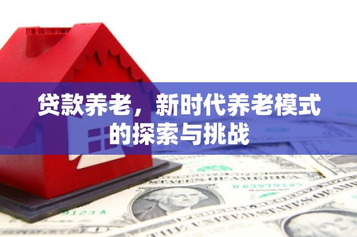 海盐贷款养老，新时代养老模式的探索与挑战