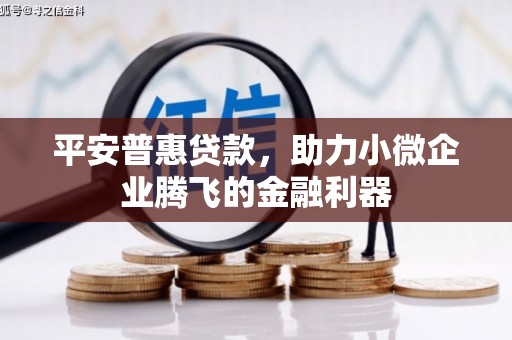 张家界平安普惠贷款，助力小微企业腾飞的金融利器