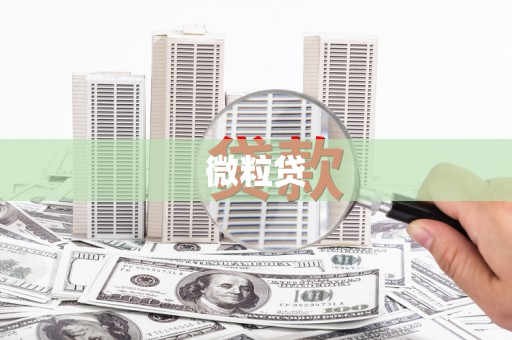 滨江微粒贷