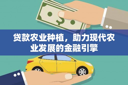 大鹏新区贷款农业种植，助力现代农业发展的金融引擎