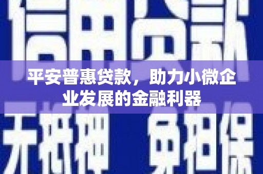 泗阳平安普惠贷款，助力小微企业发展的金融利器