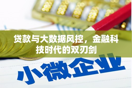 依安贷款与大数据风控，金融科技时代的双刃剑