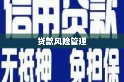 宁津贷款风险管理