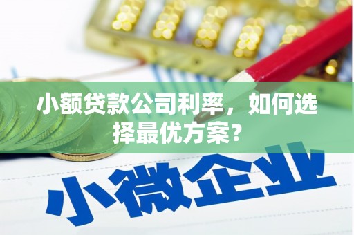 洛宁小额贷款公司利率，如何选择最优方案？