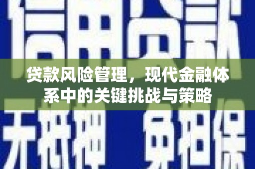 莎车贷款风险管理，现代金融体系中的关键挑战与策略
